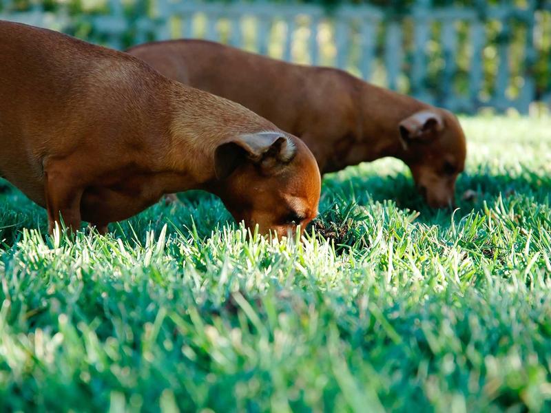 sudoku grid completion screenshot 1