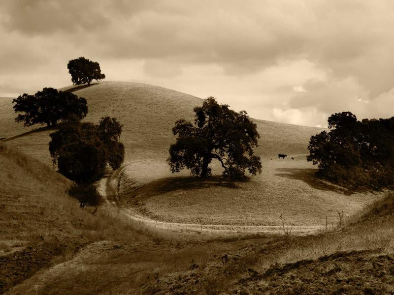 sudoku grid completion